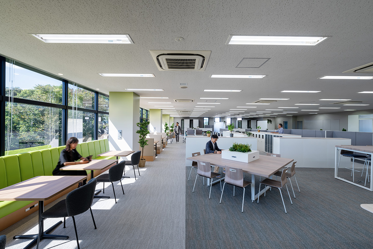 健康的工作空间，开放的视线和绿色的绿色