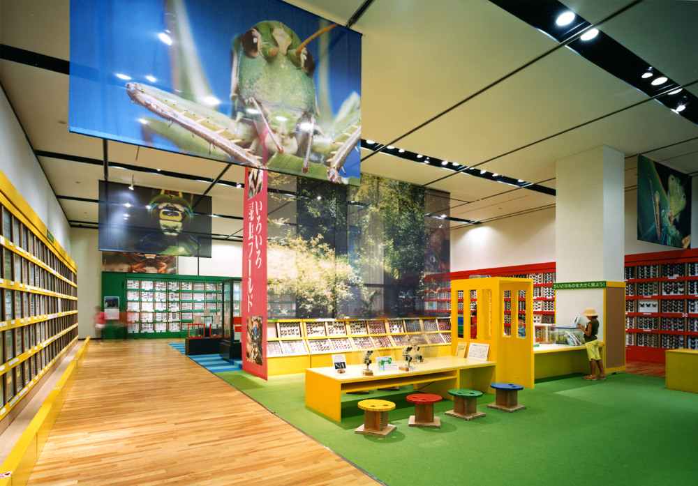 2003年に開催された夏の特別展「発見！虫王国」。期間中の総入場者数は当初予想3倍の約8万人と盛況だった