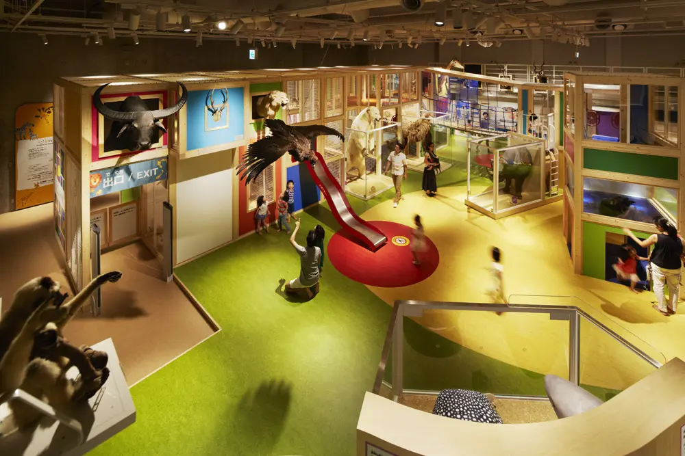 "Parent and Child Exploration Plaza Compass" offers preschoolers a new science experience by combining real specimens and large play equipment