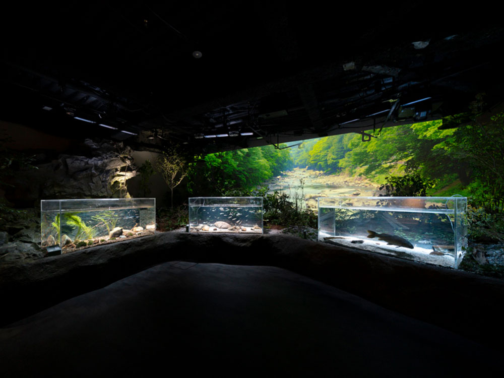 Tama River Zone: A reproduction of the familiar Tama River, where diverse environments are condensed. A hybrid diorama space where you can experience the ever-changing waterside environment through Video, light, and sound.