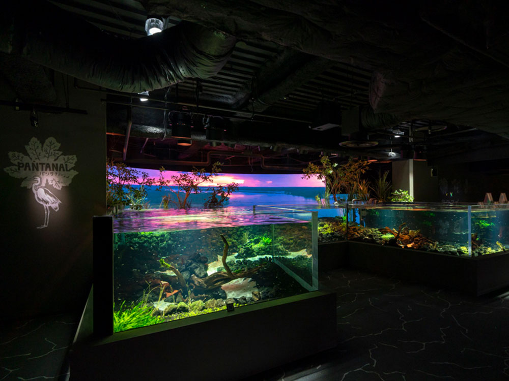 Pantanal Area: A recreation of the waterside of the Pantanal, one of the world's largest wetlands, located almost in the center of South America. Video of the Amazon River basin flowing in the background are combined with the scenery inside the aquarium, creating an experiential space of Video and sounds that makes you feel as if you are actually there.