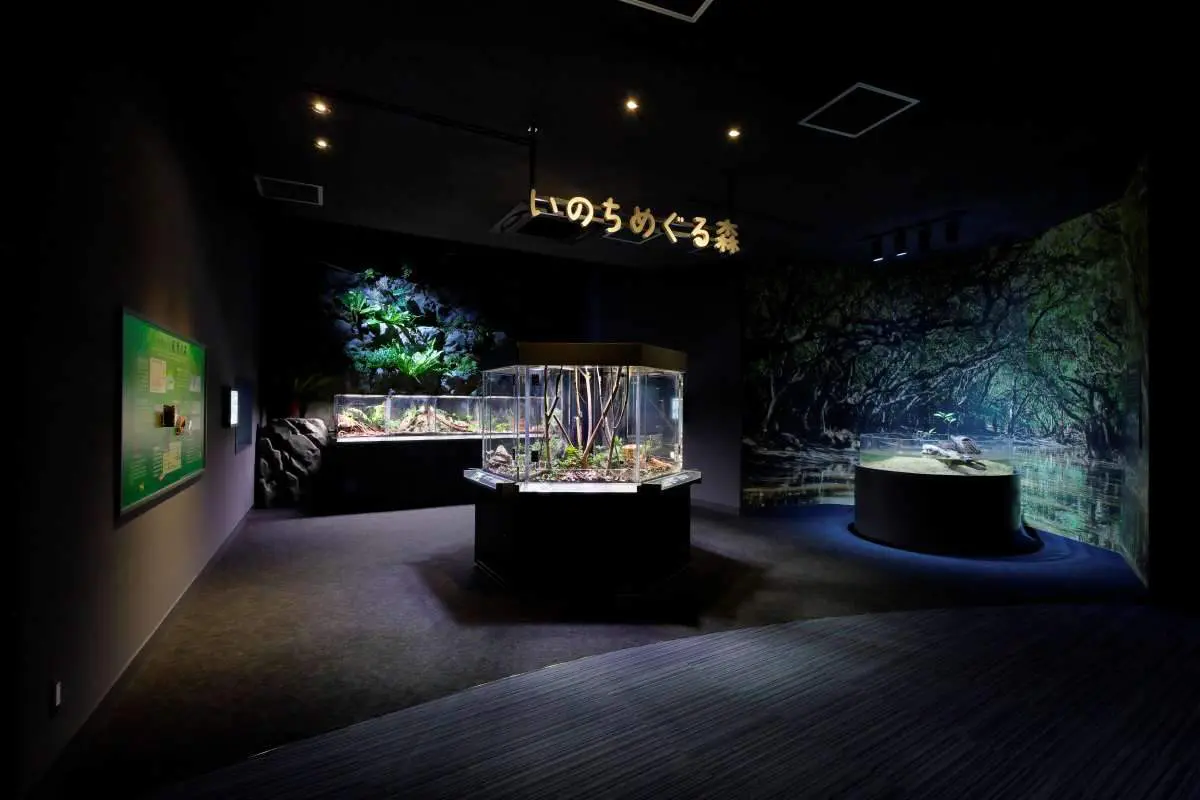 ＦＲＰ造形、実物展示、壁面グラフィック、照明制御などの展示手法により、動植物が息づく固有の世界観を直感的に体感できる空間とした