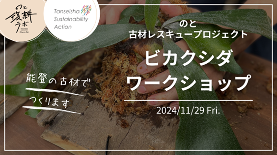 POTLUCK FES_パース