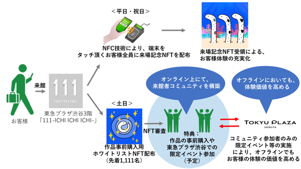 演示实验的图像 (1)
