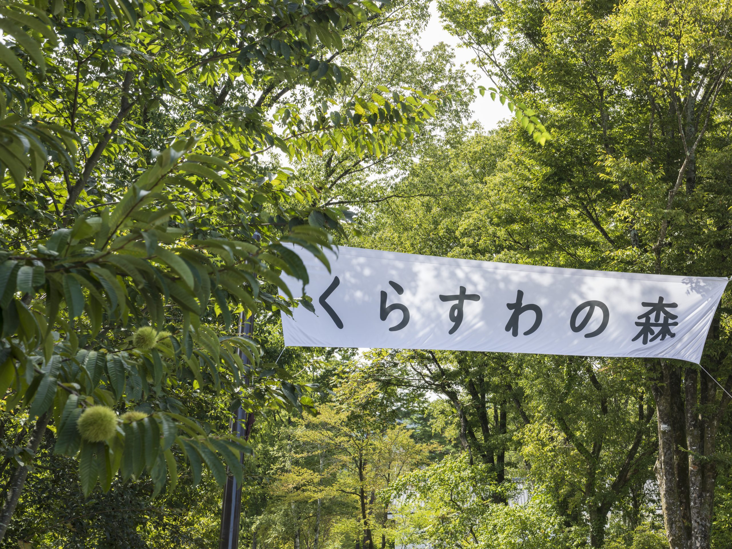 森の中に、たおやかにたなびくエントランスの幕ゲート