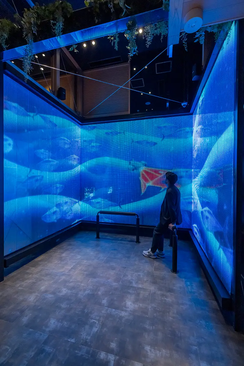 ウェイティングエリアでは魚群映像により没入感を生み出し、店内へ入るモチベーションを醸成する