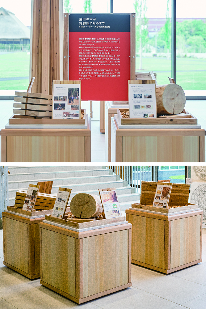 学芸員や市民による展示づくりをサポートするシステムとしてさまざまなタイプの展示什器を用意。建築空間とともに市産材を活用した意匠としている（写真下*）
