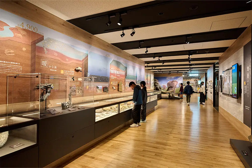 “新生代天草”:通过墙面的大型图案动态展现大地的变化。我们设计了一种易于查看的方法，使地层与化石相对应