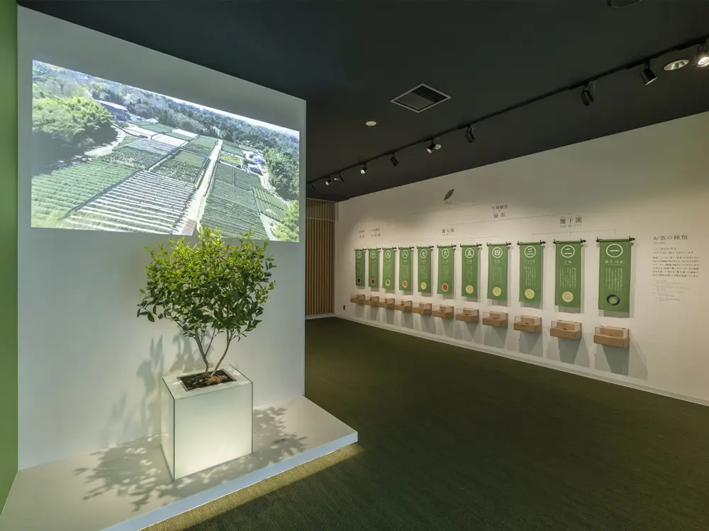お茶と宇治のまち交流館『茶づな』ミュージアム