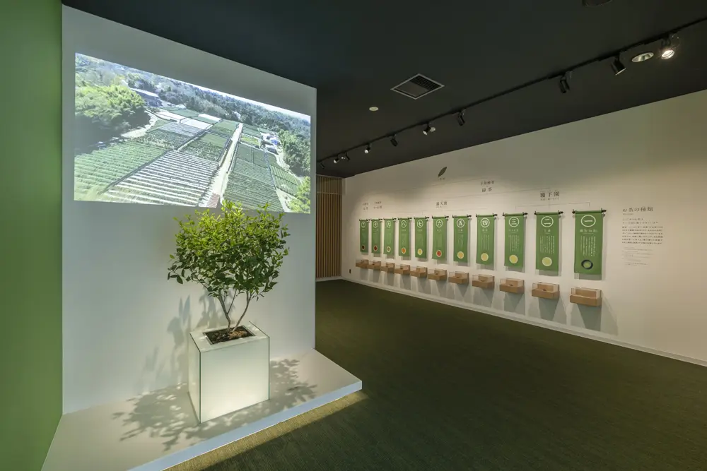 “宇治茶室”介绍展：展示从日本最古老的茶园——高山寺茶园采摘的茶树（茶叶为复制品）。与介绍影像一起，构成了“宇治茶室”介绍展的象征。