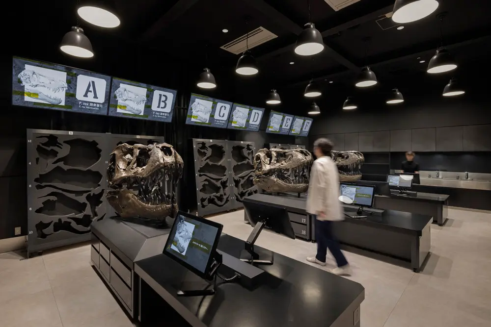 The Fossil Research Experience Room offers four experiences that allow you to enjoy the full-scale fossil research process: finding, observing, and examining fossils.