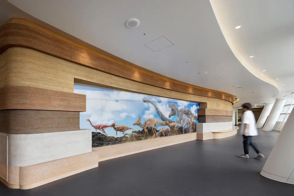 On the wall of the passageway leading to the main building, a large lenticular print measuring 8m wide (a print that changes the image depending on the angle) will be installed, which will change from a skeleton to a fleshy dinosaur depending on the angle from which it is viewed, creating an experience while moving around.