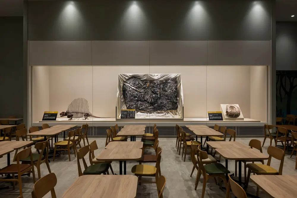 The restaurant has a glass display case where skeletal specimens can be viewed while dining.