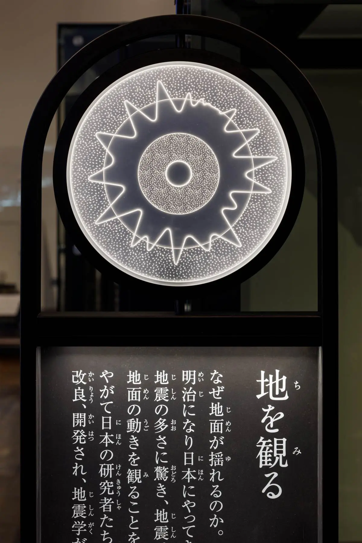 国⽴科学博物館 ⽇本館1階南翼「⾃然をみる技」リニューアル | 実績