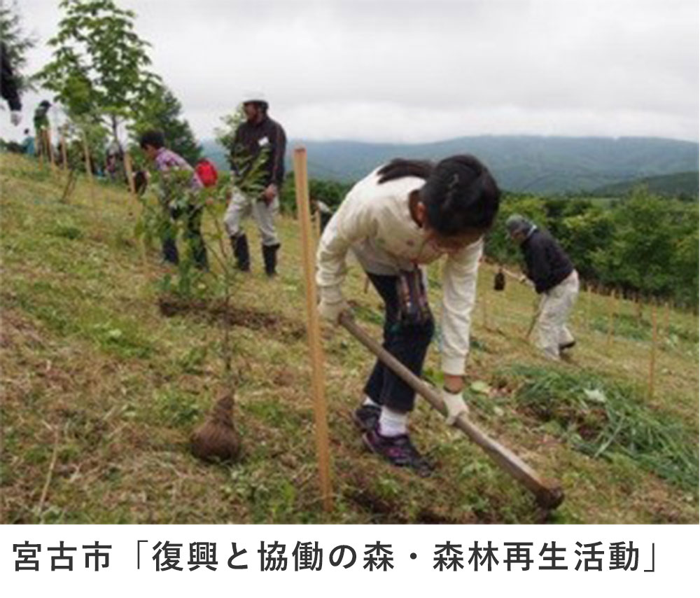 宮古市「復興と協働の森・森林再生活動」