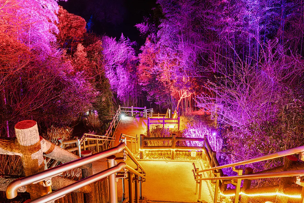 Lighting Spatial Production using aurora lights to express the "smell of Muzan Kibutsuji" and create a sense of immersion in the work