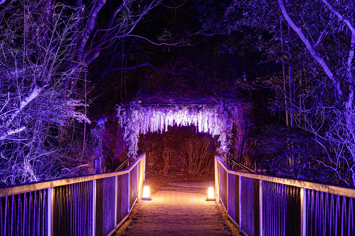 After passing through the tense staircase, a gate of wisteria flowers appears. It represents a moment of peace and tranquility before the upcoming battle with demons.