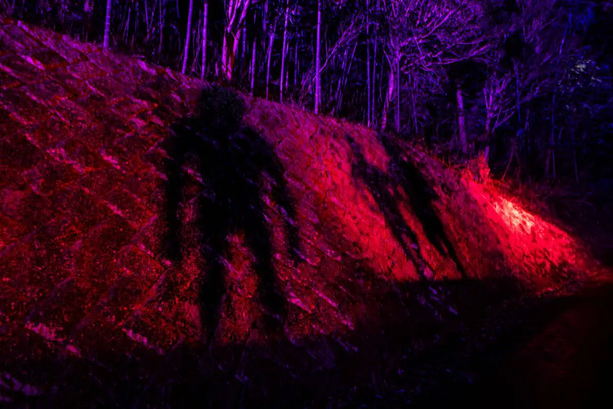 Rock face: Lighting Spatial Production that create the shadow of a giant. Shadow Spatial Production designed to create the illusion of a giant walking when a light breeze blows.