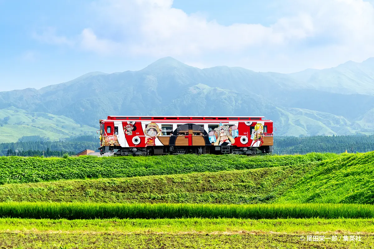 蘇鉄 ONE PIECE ×南阿蘇鉄道 サニー号トレイン | 実績紹介 | 株式会社丹青社
