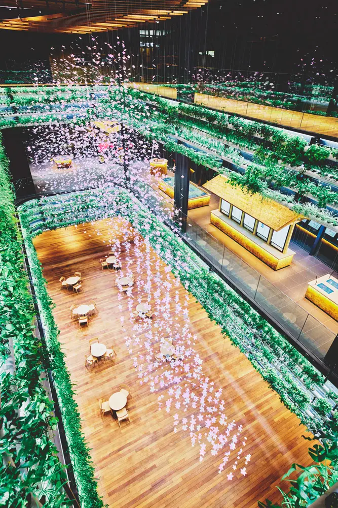 地下1階から2階の3層にわたる吹き抜けにダイナミックに展開している